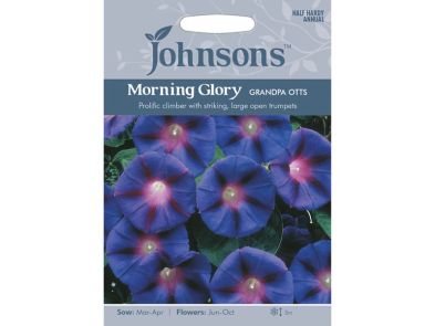 Ipomoea purpurea (Morning Glory) 'Grandpa Otts' Seeds