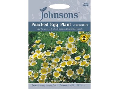 Limnanthes douglassi (Poached Egg Plant) Seeds