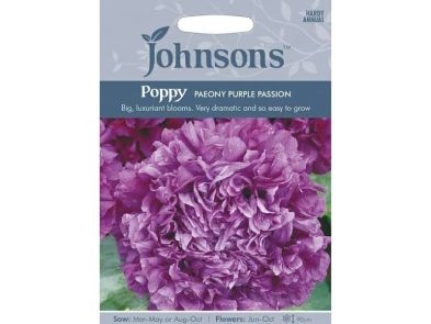 Poppy 'Paeony Purple Passion' Seeds