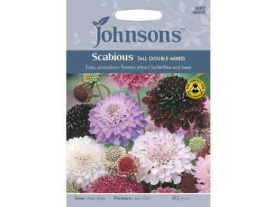 Scabious 'Tall Double Mixed' Seeds
