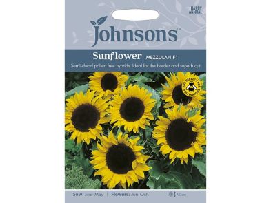 Sunflower 'Mezzulah' F1 Seeds