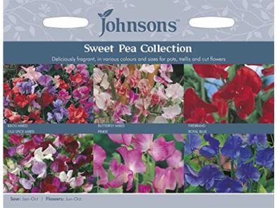 Sweet Pea 'Collection' Seeds