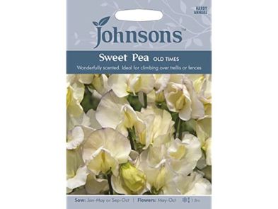 Sweet Pea 'Old Times' Seeds