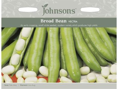 Broad Bean 'Vectra' Seeds