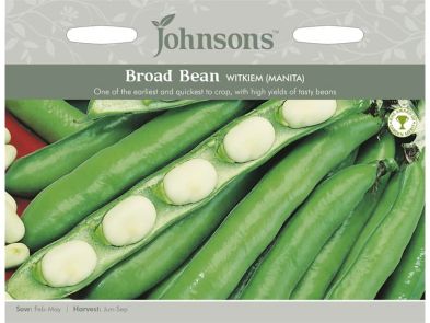 Broad Bean 'Witkiem' (Manita) Seeds