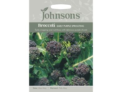 Broccoli 'Early Purple Sprouting' Seeds