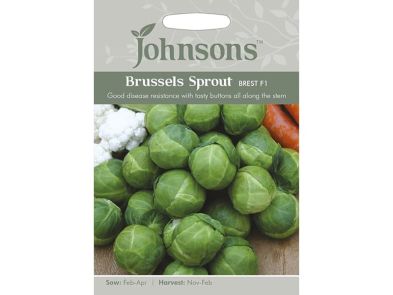 Brussels Sprout 'Brest' F1 Seeds