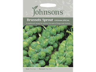 Brussels Sprout 'Evesham Special' Seeds
