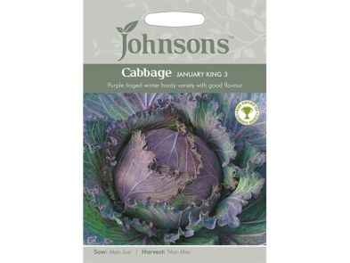 Cabbage 'January King 3' Seeds