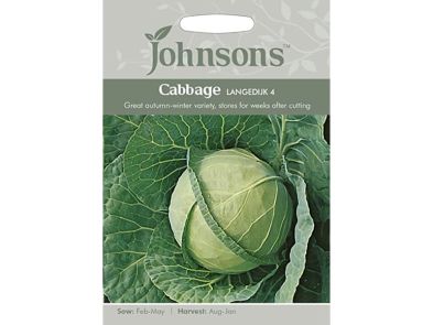 Cabbage 'Langedijk 4' Seeds