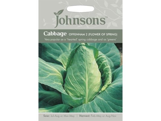 Cabbage 'Offenham 2' (Flower of Spring) Seeds