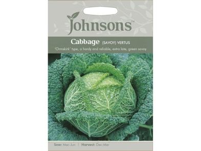Cabbage (savoy) 'Vertus' Seeds