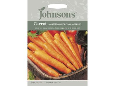 Carrot 'Amsterdam Forcing 3' (Sprint) Seeds