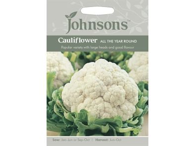 Cauliflower 'All the Year Round' Seeds