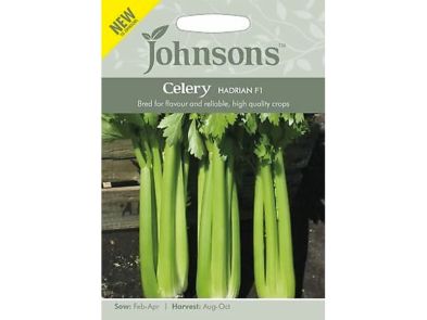 Celery 'Hadrian' F1 Seeds