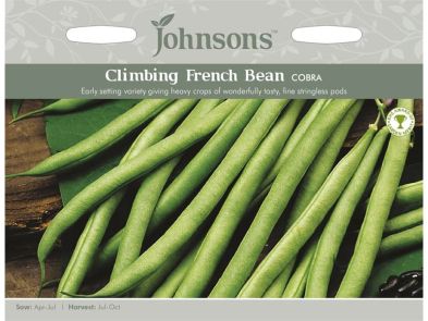 Climbing French Bean 'Cobra' Seeds