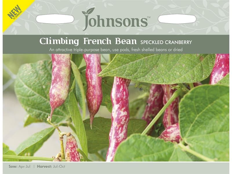 Climbing French Bean 'Speckled Cranberry' Seeds
