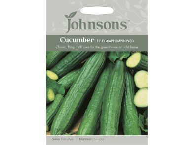 Cucumber 'Telegraph Improved' Seeds