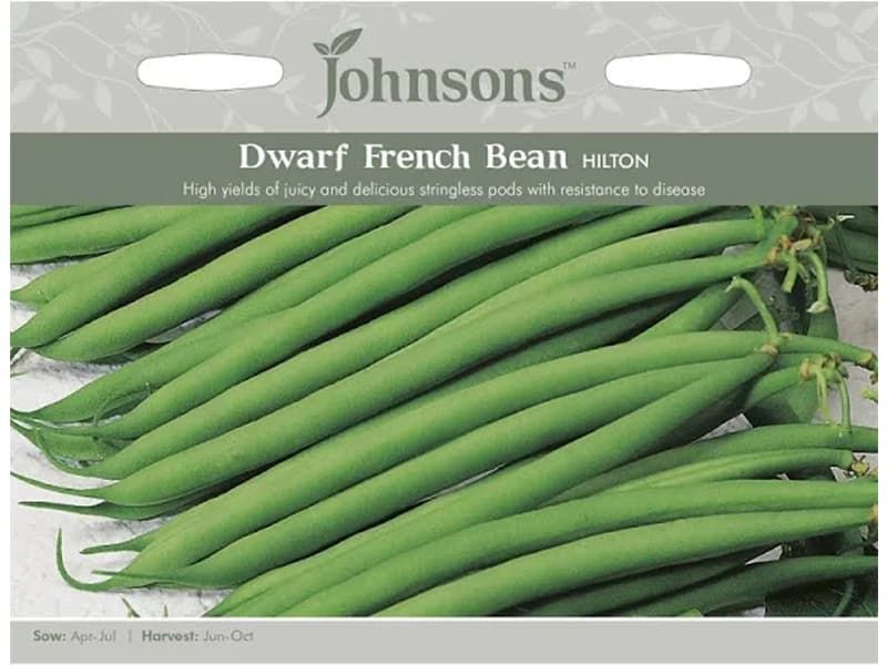 Dwarf French Bean 'Hilton' Seeds