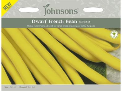 Dwarf French Bean 'Sonesta' Seeds