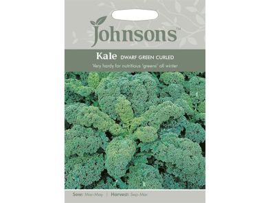 Kale 'Dwarf Green Curled' Seeds