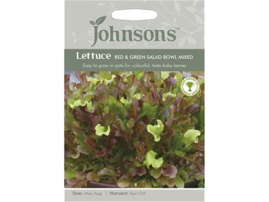 Lettuce 'Red & Green Salad Bowl Mixed' Seeds