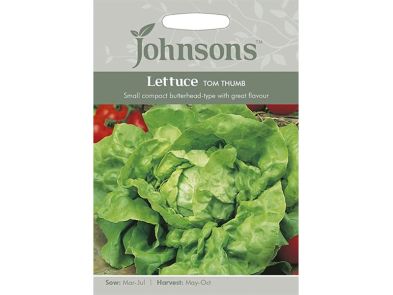 Lettuce 'Tom Thumb' Seeds