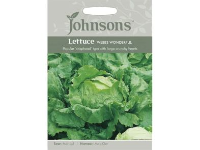 Lettuce 'Webbs Wonderful' Seeds