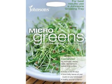 Micro Greens Coriander 'Cilantro' Seeds