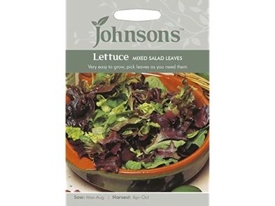 Lettuce 'Mixed Salad Leaves' Seeds