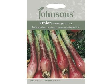 Spring Onion 'Red Toga' Seeds
