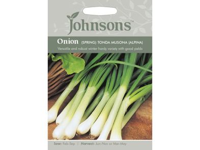 Spring Onion 'Tonda Musona' (Alpina) Seeds