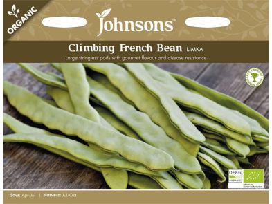 Climbing French Bean 'Limka' Organic Seeds