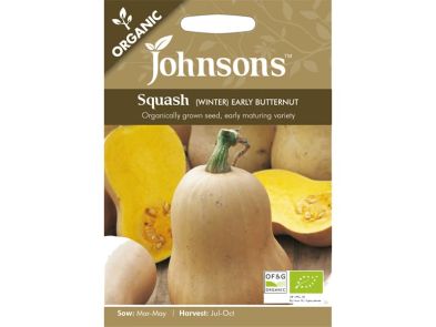 Squash 'Early Butternut' Organic Seeds