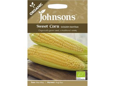 Sweet Corn 'Golden Bantam' Organic Seeds