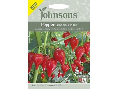 Pepper (hot) 'Biquino Red' Seeds