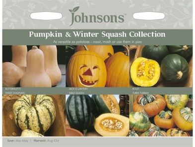 Pumpkin & Winter Squash Collection Seeds