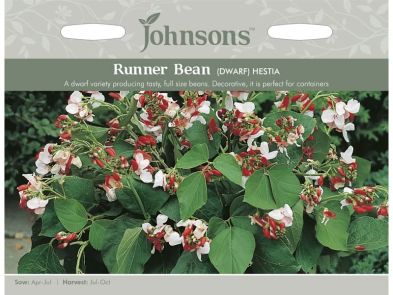 Runner Bean (dwarf) 'Hestia' Seeds