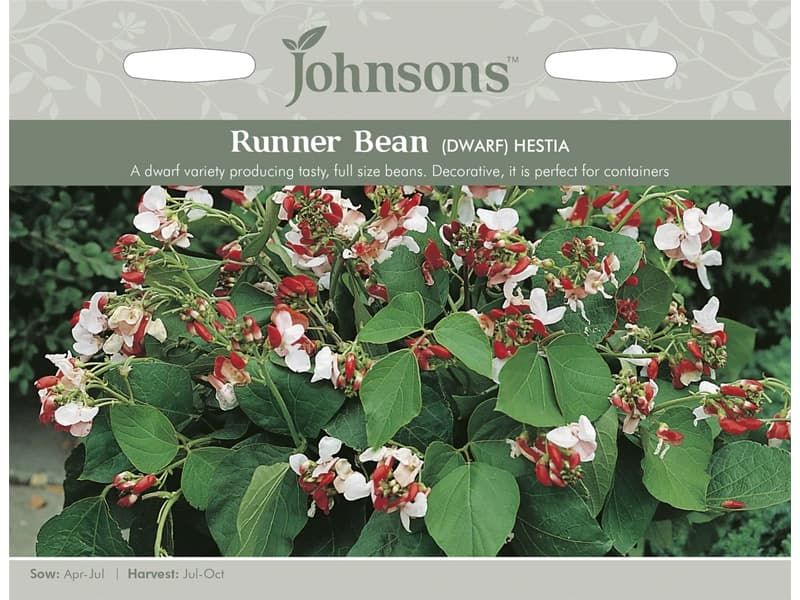Runner Bean (dwarf) 'Hestia' Seeds