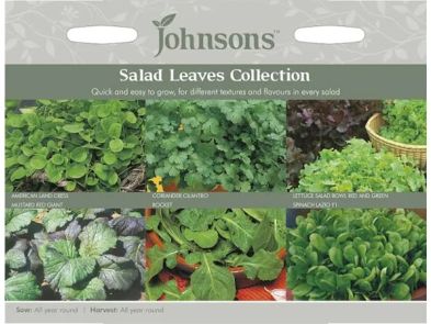 Lettuce Salad Leaves Collection Seeds