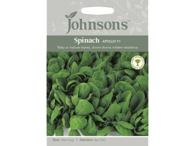 Spinach 'Apollo' F1 Seeds