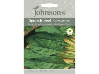 Perpetual Spinach (Spinach Beet) Seeds