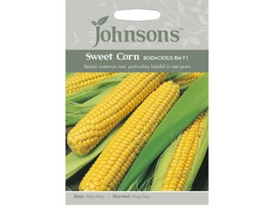 Sweet Corn 'Bodacious RM' F1 Seeds
