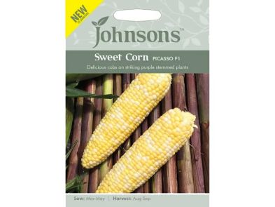Sweet Corn 'Picasso' F1 Seeds