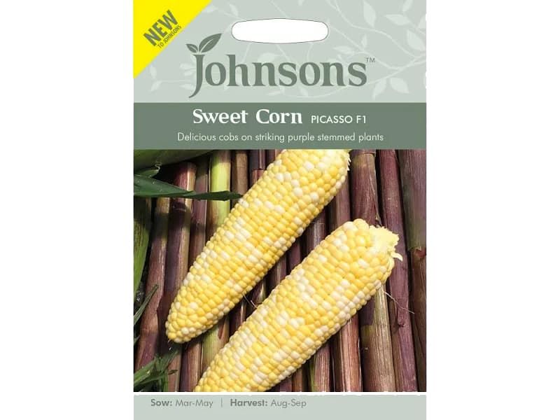 Sweet Corn 'Picasso' F1 Seeds