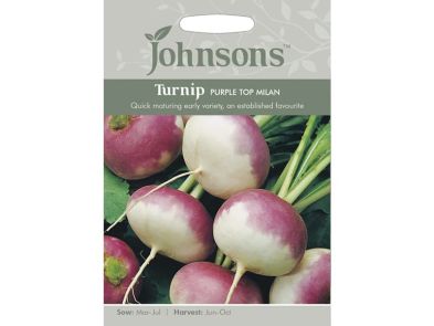 Turnip 'Purple Top Milan' Seeds