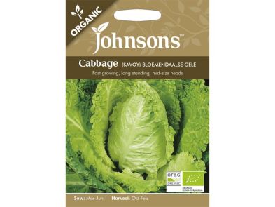 Cabbage (savoy) 'Bloemendaalse Gele' Organic Seeds