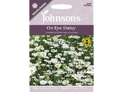 Ox-Eye Daisy Wildflower Seeds