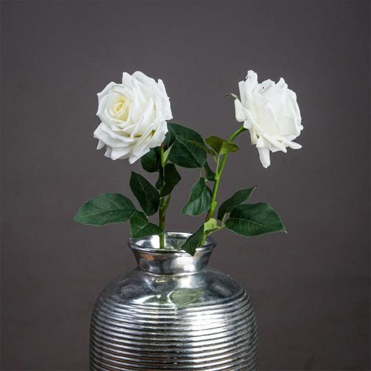 Garden Rose Stem in White