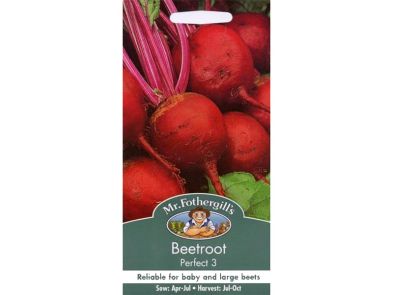 Beetroot 'Perfect' 3 Seeds